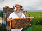 jesus-apiculteur-agriculteur-abeilles-fiondenivelle-hypson-pasdemoi