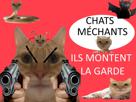 alerte-chats-mechants-lagarde