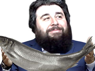 hooper poisson ecco dauphin tututututu