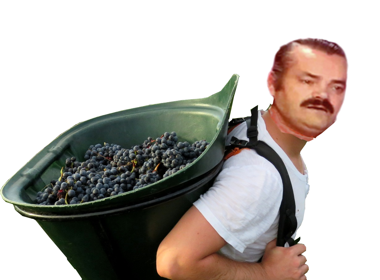 risitas porteur raisin vignes vigneron vin ouvrier metier fiondenivelle hypson pasdemoi