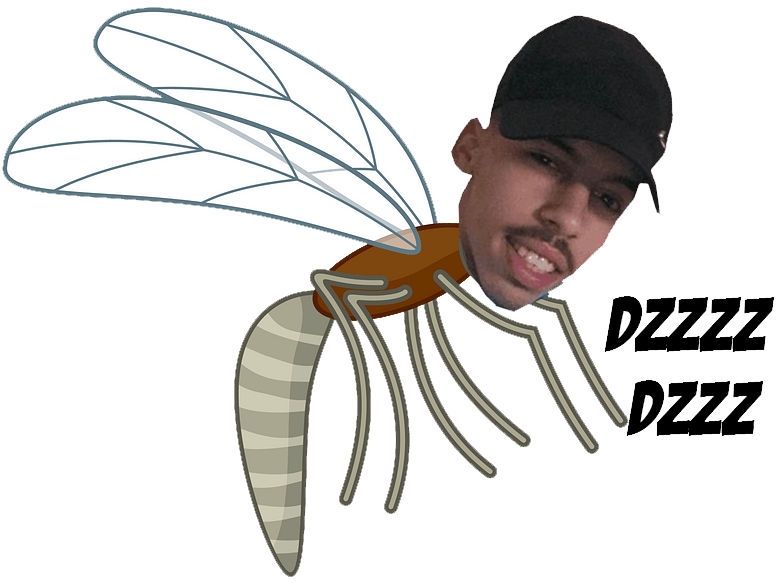 moustique arabe qlf dz algerien walah cite reubeu parasite maghreb invasion voleur voler ailes