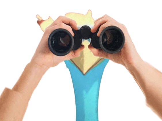 marco one piece jumelles