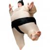 sumo-gros-combat-deguisement-halouf-graisse-cochon-porc