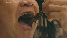glandilus-scorpion-insecte-wef-bug-reset-thai-arte-frit-gouter-miam-klaus-food-asia-repas