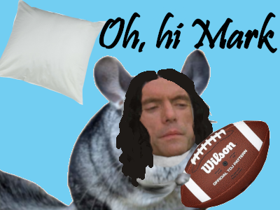 cinema the-room tommy-wiseau film nanar mark chinchilla rongeur oreiller ballon foot americain daube merde cinefaille