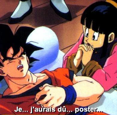 dragonball dbz goku songoku malade coeur cancer poc post tinnova chichi