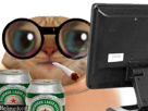 chat-lunette-chatlunette-ordinateur-fumer-join-deprime-biere-khey-ennui-forum