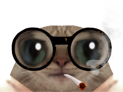 chat lunette chatlunette serieux fumer triste deprime khey regard juger