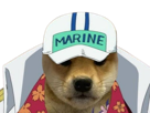 one-piece-chien-shiba-amiral-marine-akainu-sakazuki-magma-lave