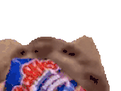 chat qui mange des chips