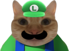 chat-luigi-plombier-vert-moustache