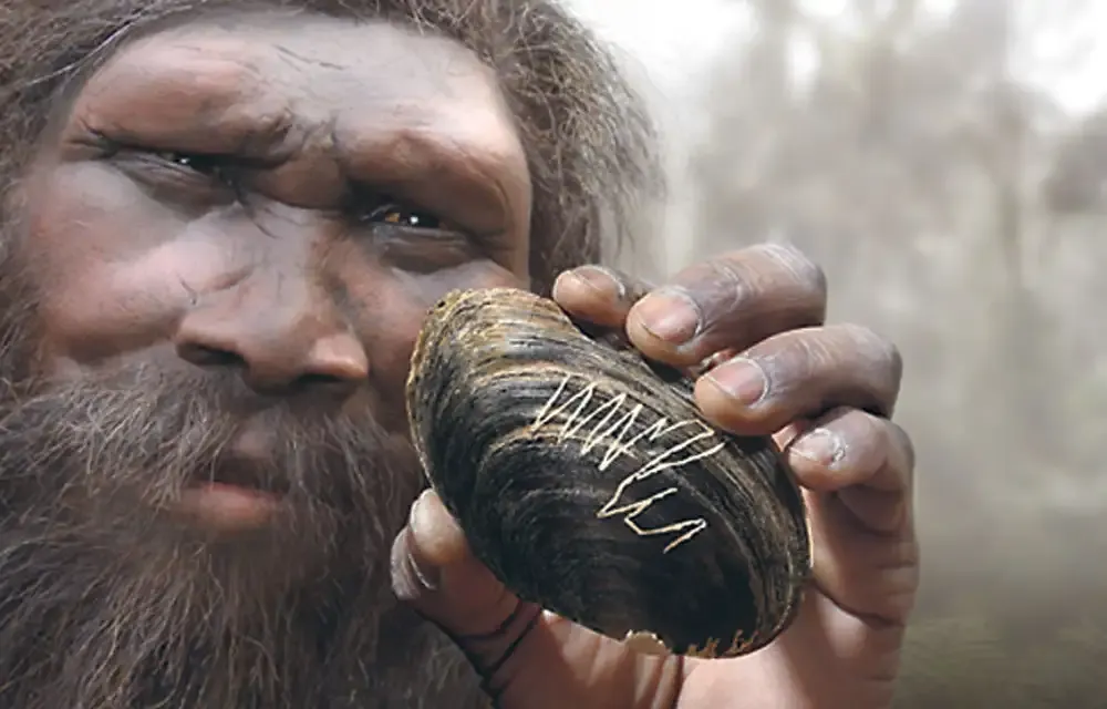 prehistoire java homo sapiens coquillage graffiti 500000