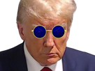 donald-trump-enerve-mugshot-lunette-bleue-ronde-ready-kali-vener-regard-president-usa-sombre-deter