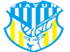wenzhou-jiayun-football-club-amateur-chine-chinois-diaspora-france-wen-logo-asie-asiatiques-sport