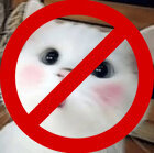 lyndella antilyndella forumlol leagueoflegends