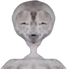 alien-ufo-uap-extraterrestre-mexique-momie-reptilien-gris-eussou