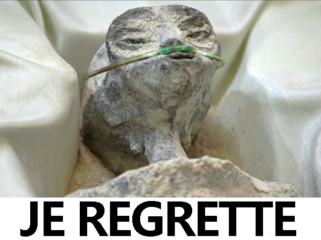 si javais su regrette regret pls singe malade et extra terrestre extraterrestre mexique alien oxygene