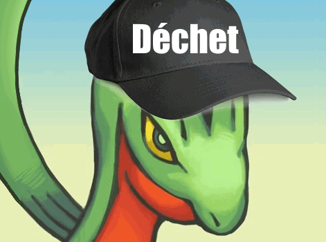 auteur fic massko pokemon donjon mystere grovyle masskoed