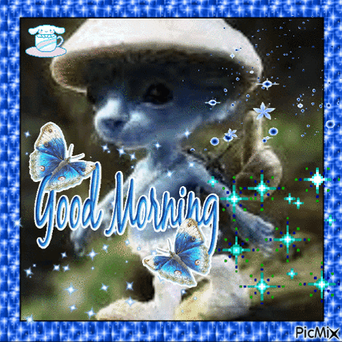 cat chat bleu bon matin desuwu