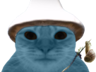 chat-schtroumpf-bleu-we-live-love-lie-meme-smurf-cat-miroir-escargot-champignon