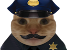 chat-police-flic-gilbert-uniforme-sherif