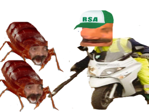 motocrotte motopunaise deratiseur desinfection parasite rsa punaise de lit golem travail chomeur cafard insecte