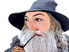 twitch-gandalf-seigneur-des-anneaux-lotr-lord-of-the-ring-magicien-film-vieux-barbe-blanche