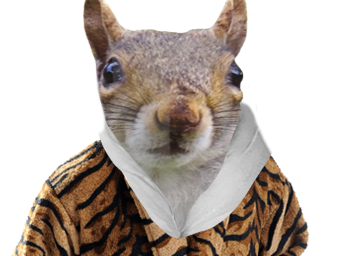 ecureuil peignoir italien