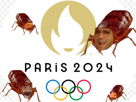 punaise-de-lit-jeux-olympiques-2024-jo-paris