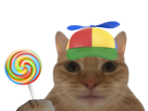 chat-bambin-lollipop-enfant-gosse-casquette-helice-sucette