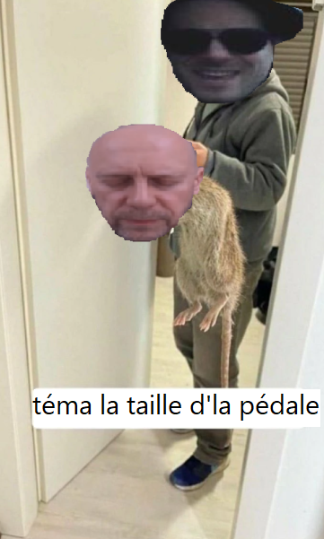 alain soral homosexuel grand monarque saint-claude brazil rat