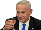 israel-tsahal-armee-soldat-militaire-guerre-palestine-hamas-gaza-juif-ministre-netanyahou-netanyahu-sourire-verre