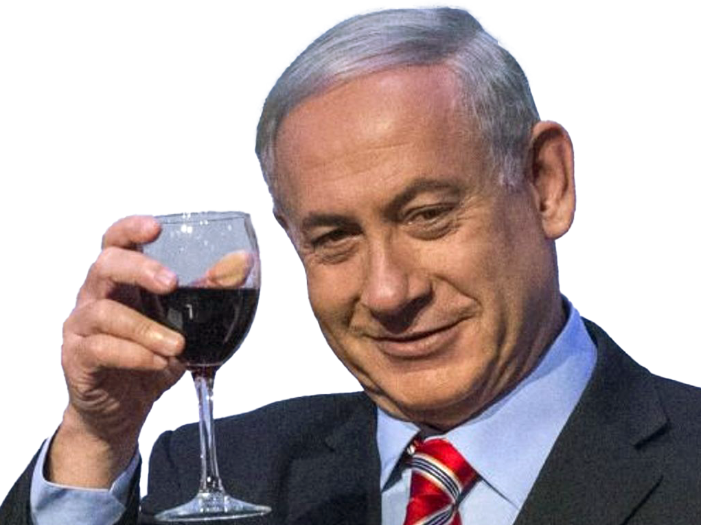 israel tsahal armee soldat militaire guerre palestine hamas gaza juif ministre netanyahou netanyahu sourire verre