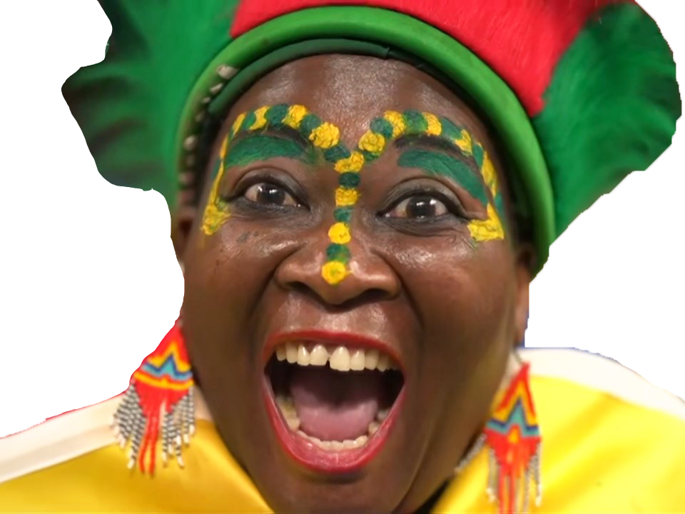 rugby afrique du sud france