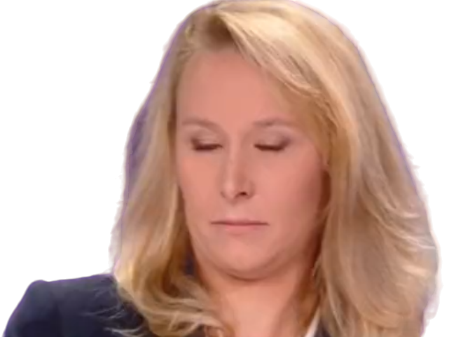 marion marechal bfmpolitique derniere renovation ecologiste bfmtv peur