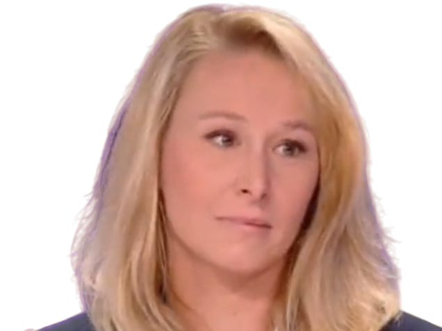 marion marechal bfmpolitique derniere renovation ecologiste bfmtv triste