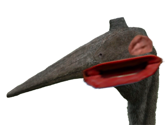 eussou eussouraptor eussoubidoulamarena raptor trex oiseau