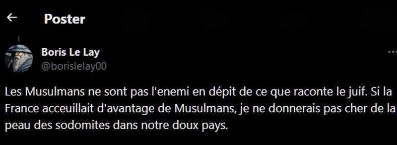 boris le lay democratie participative twitter x tweet lgbt