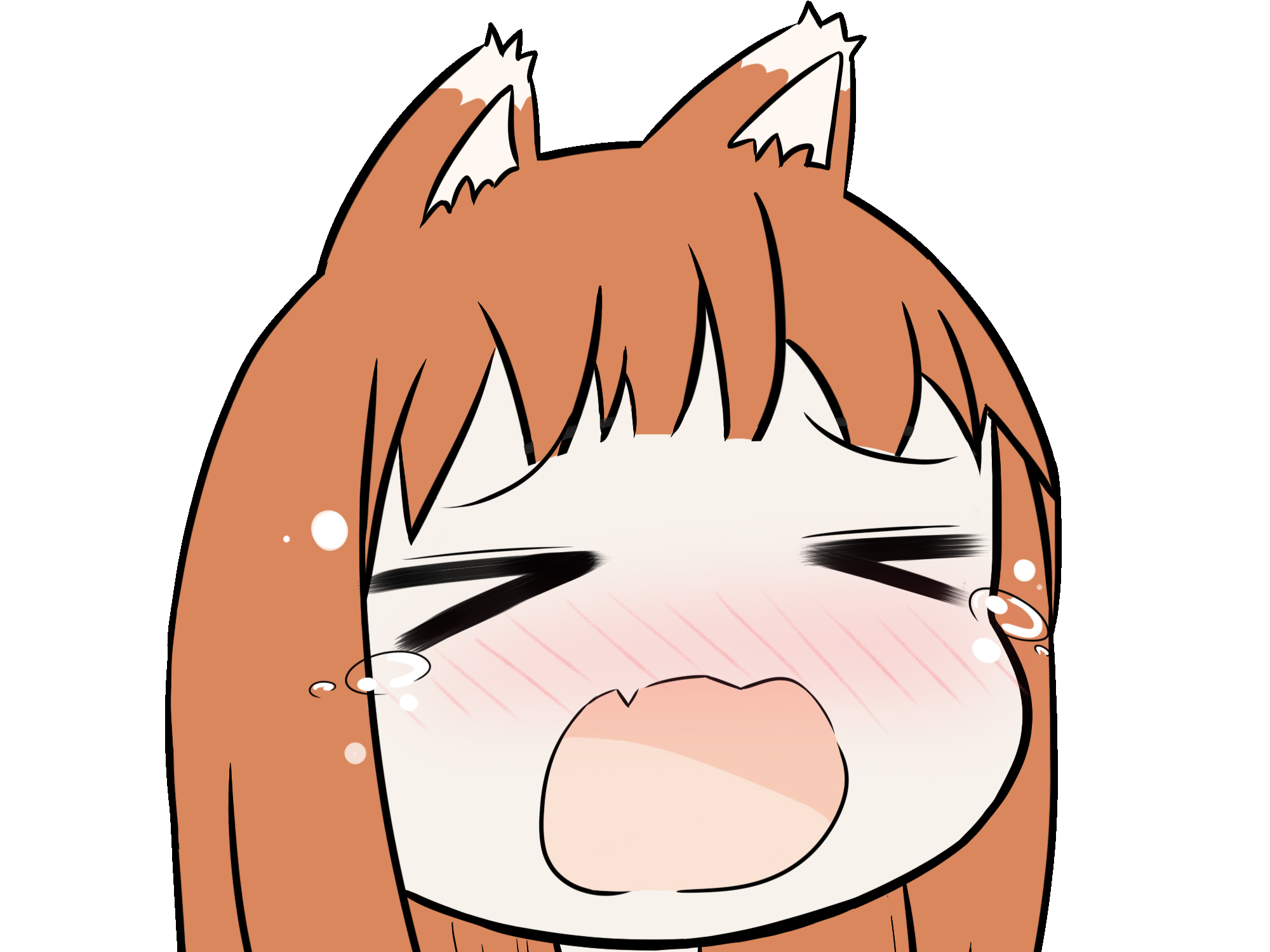 holo spice and wolf epice et loup kizarouimaizumi pleure