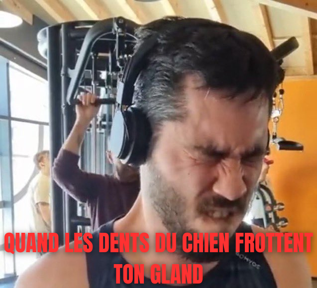 asterion kirby54 chien rougethebat