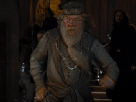 dumbledore-harry-potter-enerve-calme-fou