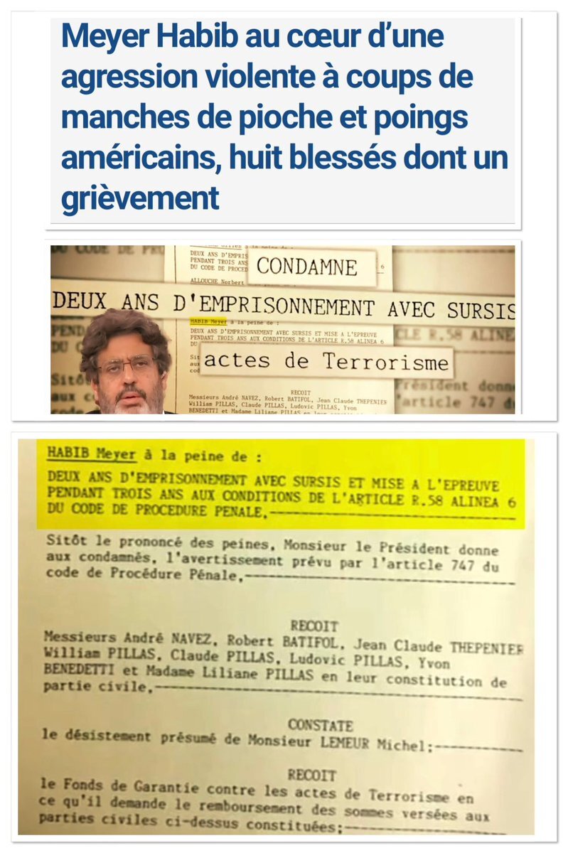 terrorisme islamisme sionisme israel palestine ldj meyer habib