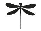 libellule-noire-moupe