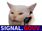 chat-risitas-telephone-cat-ministre-procureur-fbi-phone-signal-gouv-cia-allo-police