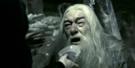 dumbledore-potter-harry