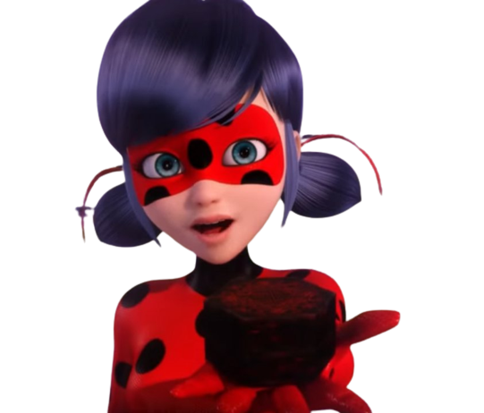 miraculous ladybug boite