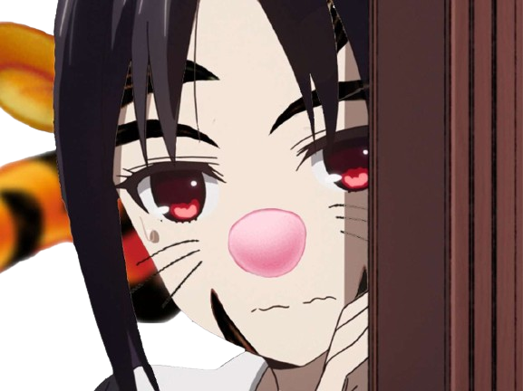 tigrou kikoojap kaguya timide cacher miskina