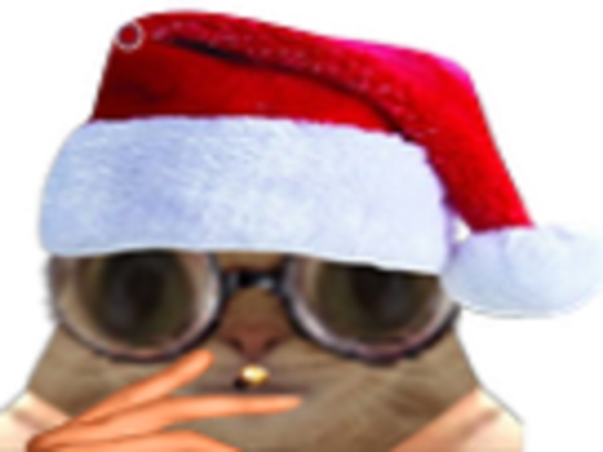 chat noel fume joint lunette lunettes cigarette bonnet