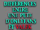 valek-onlyfans-pute-est-une-virilite-droitarde-ridicule-greffe-de-barbe-fragile-differences-debile