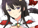 senran-kagura-mere-noel-christmas-sourire-heureuse-joie-houx-clochette-bonnet-waifu-shinomas-new-link